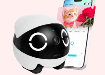 Los robots que podrían ser niñeras para mascotas