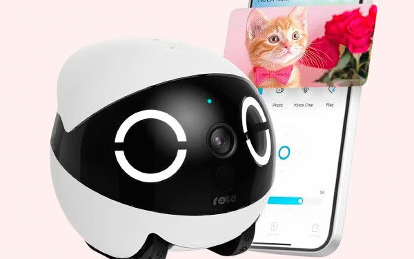 Los robots que podrían ser niñeras para mascotas