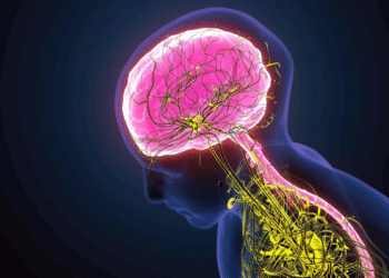 ¿Cómo cambia el cerebro humano al llegar la medianoche?