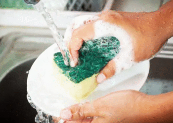 Cómo darle una segunda vida a la esponja de cocina con sal