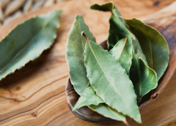 Elimina cualquier plaga con esta mezcla de laurel con polvo para hornear