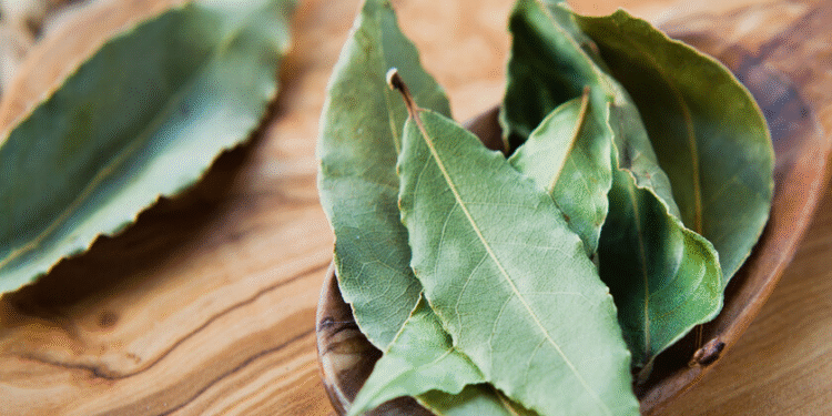 Elimina cualquier plaga con esta mezcla de laurel con polvo para hornear