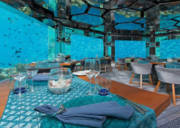 ¡Increíble! En este restaurante podrías cenar bajo el agua