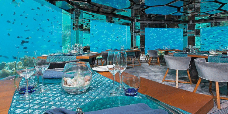 ¡Increíble! En este restaurante podrías cenar bajo el agua