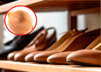 ¿Por qué está de moda poner una cebolla en el closet de zapatos?
