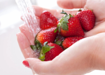 Cómo lavar correctamente las frutillas y cómo conservarlas frescas durante más tiempo 