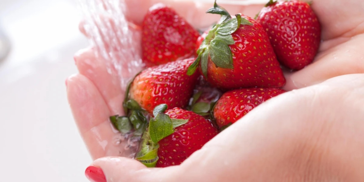 Cómo lavar correctamente las frutillas y cómo conservarlas frescas durante más tiempo 