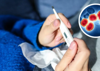 Ya llegó a Sudamérica: ¿Cuáles son los síntomas de la influenza H3N2 y cómo se previene?