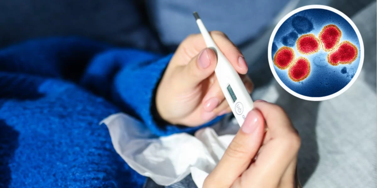 Ya llegó a Sudamérica: ¿Cuáles son los síntomas de la influenza H3N2 y cómo se previene?