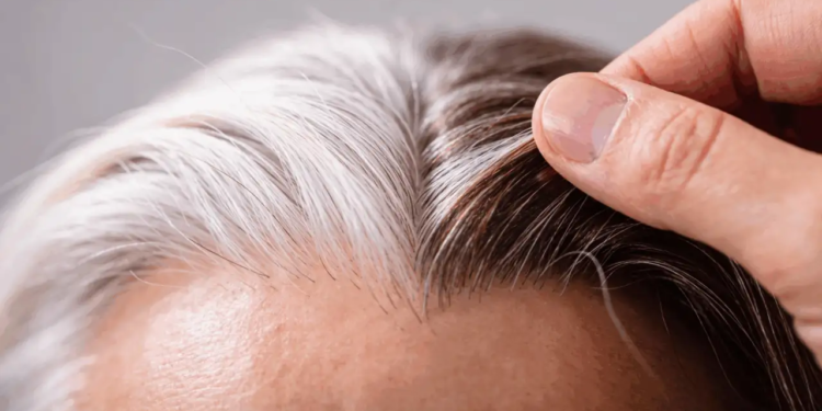 La ciencia investiga el origen de las canas y descubre esto