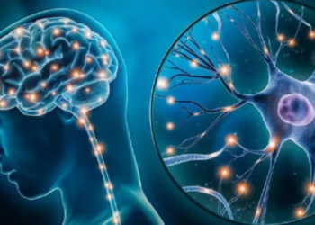 5 ejercicios para cuidar la memoria y agilizar el cerebro