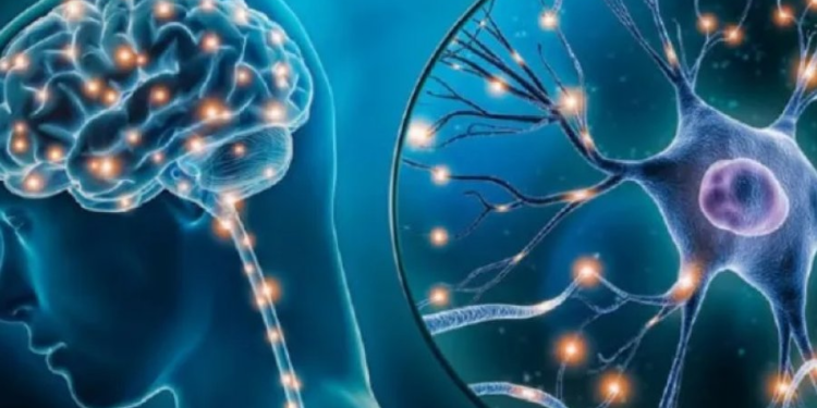 5 ejercicios para cuidar la memoria y agilizar el cerebro