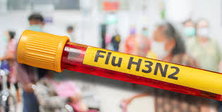 Esto puede ser útil para combatir la “supergripe” H3N2