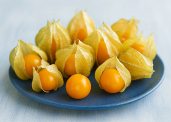 ¿La fruta andina ayudaría a reducir la inflamación intestinal?