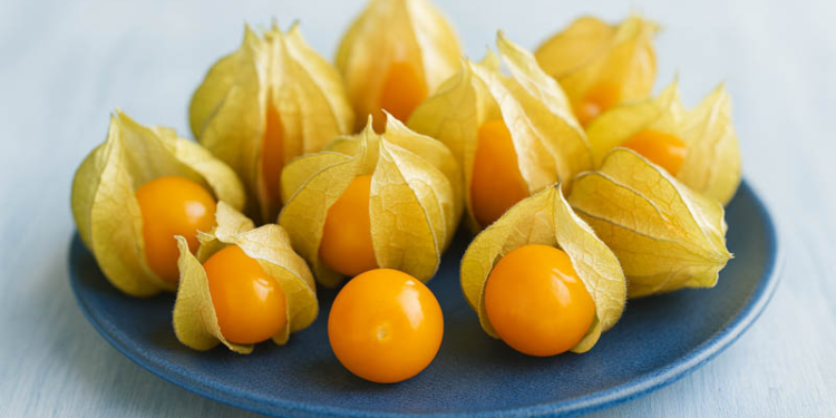 ¿La fruta andina ayudaría a reducir la inflamación intestinal?