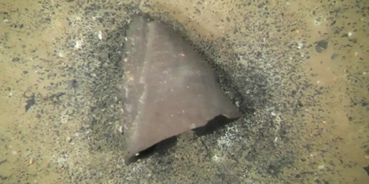 Un jarrón casi intacto, de más de 10 mil años de antigüedad, fue encontrado en el fondo de un lago 