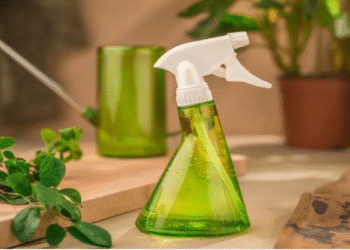 Truco perfecto para mantener alejadas a las hormigas y los mosquitos