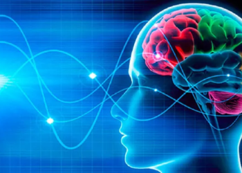Tu cerebro puede aprender a ser feliz: La neurociencia lo confirma