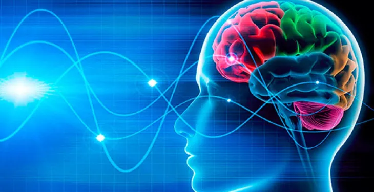 Tu cerebro puede aprender a ser feliz: La neurociencia lo confirma