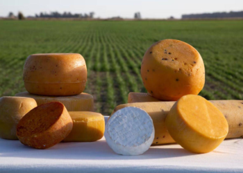 Este queso de Santa Fe es el segundo mejor del mundo