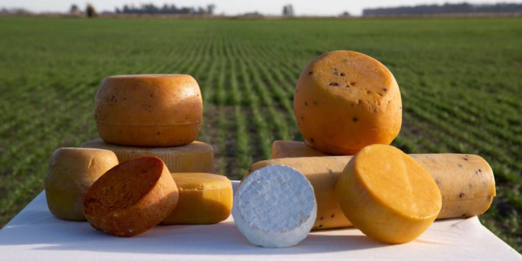 Este queso de Santa Fe es el segundo mejor del mundo