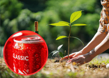 ¡Increíble secreto! Cómo salvar tus plantas con gaseosa