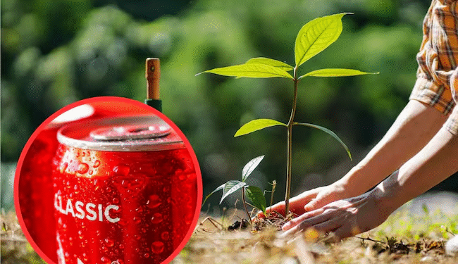 ¡Increíble secreto! Cómo salvar tus plantas con gaseosa