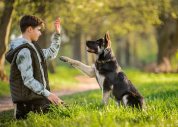 Estudio asegura que adolescentes con perros tienen más empatía
