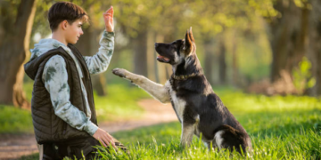 Estudio asegura que adolescentes con perros tienen más empatía
