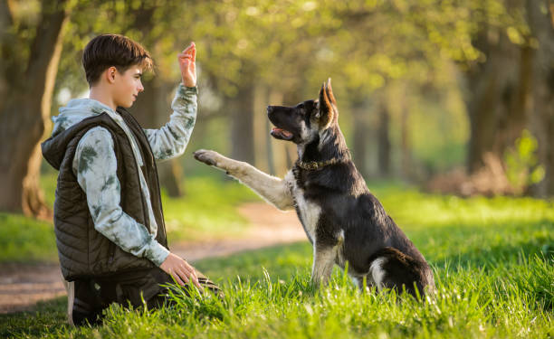 Estudio asegura que adolescentes con perros tienen más empatía