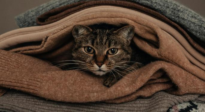 Cómo quitar los pelos de gato de la ropa sin dañarla