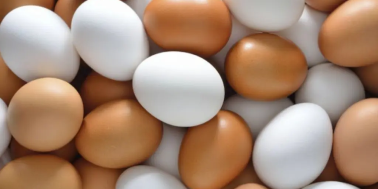 Cuál tiene más valor proteico ¿Huevos blancos o de color?