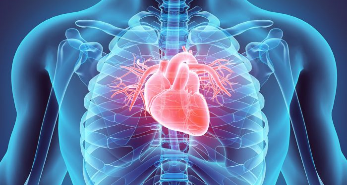 Cardiólogo señala cuál es la peor bebida para la salud del corazón