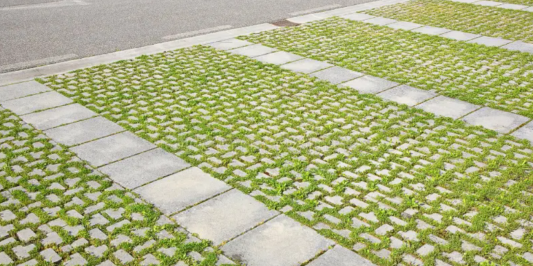 Foto: dreamstime.com