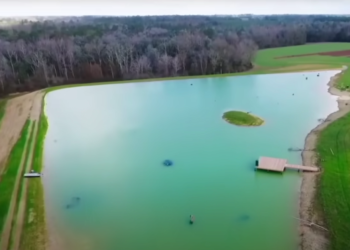 Construyó un lago para criar peces y terminó creando un santuario salvaje