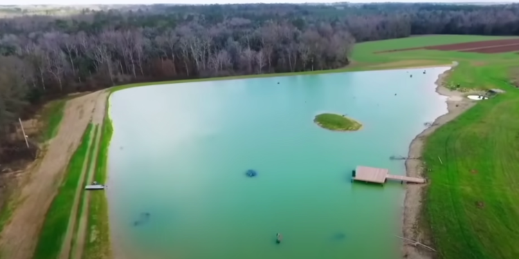 Construyó un lago para criar peces y terminó creando un santuario salvaje