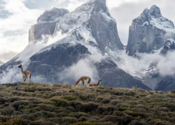 ¿Por qué están expulsando turistas de este famoso parque natural?