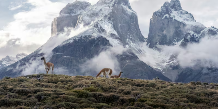 ¿Por qué están expulsando turistas de este famoso parque natural?