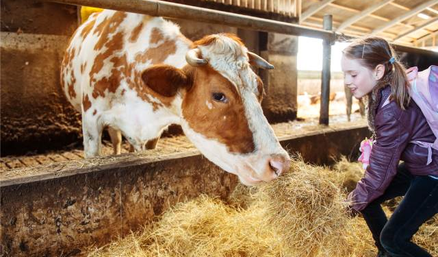 Advierten que «La forma en que criamos a los animales podría definir la próxima pandemia»