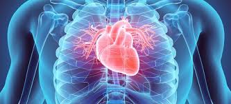 Foto: Universidad Isabel I