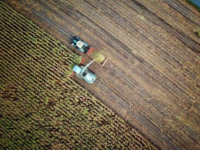 Governo vai direcionar R$ 89 bilhões para quem ainda segue na agricultura familiar