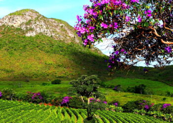 Este lugar no Brasil fará você se sentir em outro planeta