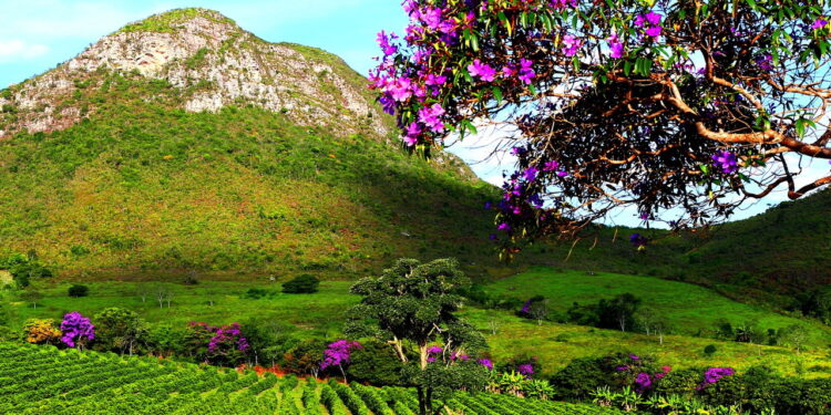 Este lugar no Brasil fará você se sentir em outro planeta