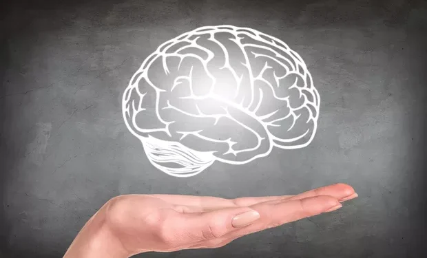 Estudo recente mostra por que nosso cérebro “desiste” antes de chegar ao seu limite