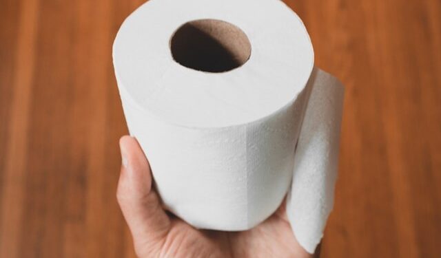 Guardar rolos de papel higiênico em casa é o mesmo que acumular um tesouro
