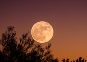 Saiba como aproveitar a energia da “Lua Cheia do Veado” nesta quinta-feira (10)