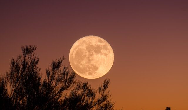 Saiba como aproveitar a energia da “Lua Cheia do Veado” nesta quinta-feira (10)