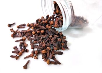 Alimento que provavelmente você tem em casa é ideal para espantar baratas