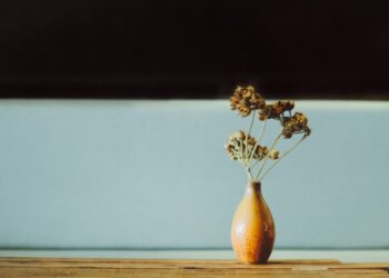 Poucos sabem a real finalidade de colocar uma moeda nos vasos de flores