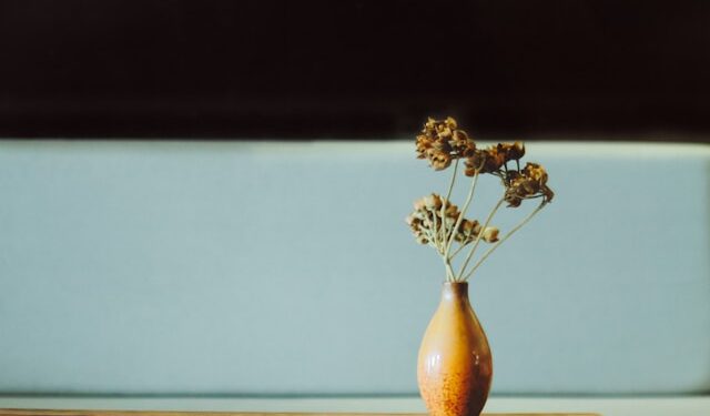 Poucos sabem a real finalidade de colocar uma moeda nos vasos de flores